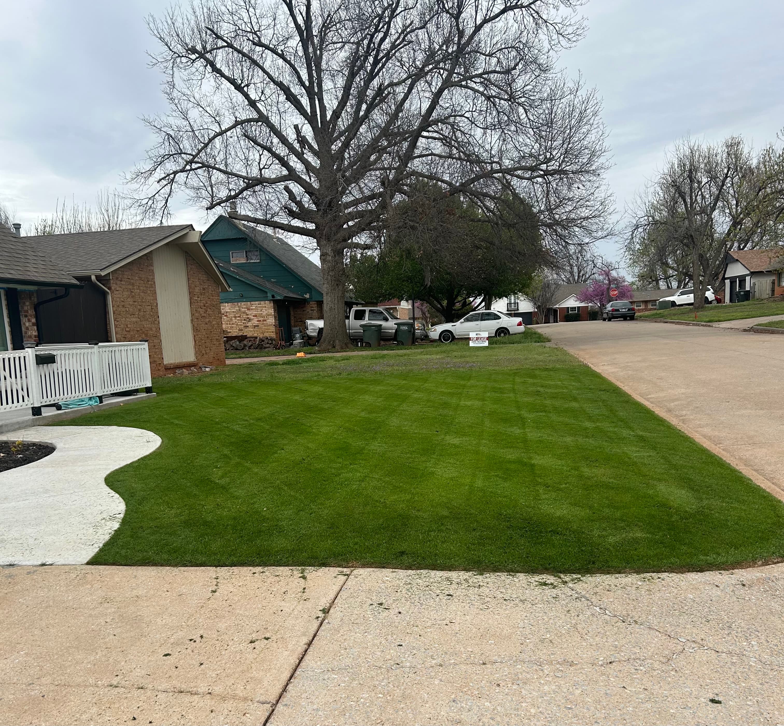 Fresh mow with stripes in Edmond.